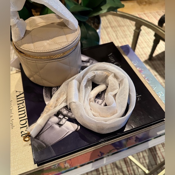 NIB Christian Dior Vanity Mini Bag - Picture 12 of 14